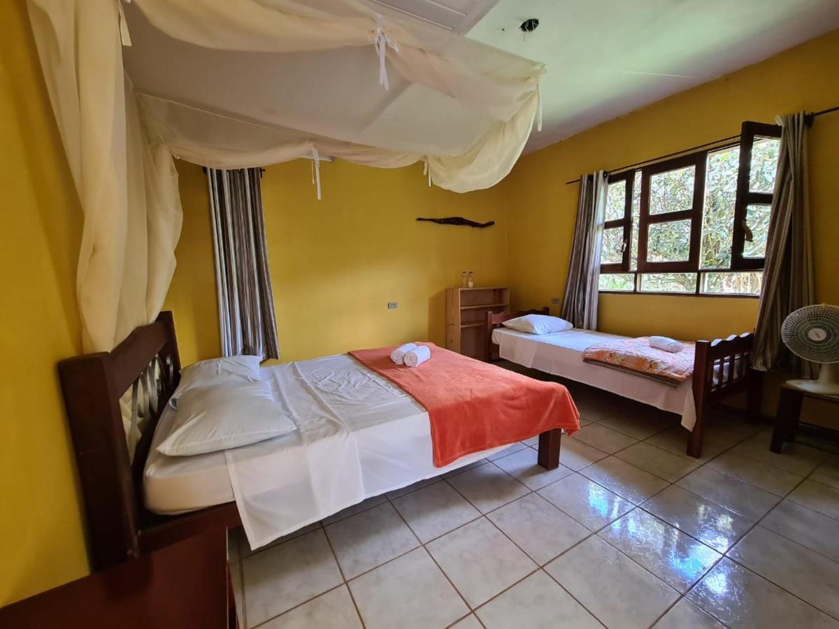 מלון ואלה דה קפאו Casa Da Trilha מראה חיצוני תמונה